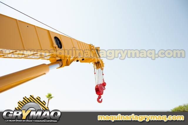 Grua Todo Terreno Grove TM9120 120 Tons 1993