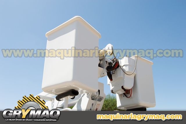 Grua Canastilla International 2000