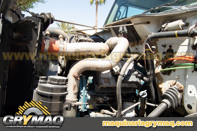 Grua Canastilla International 2000